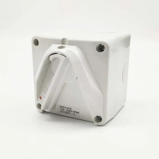 NLS 2 Pole Mini Weatherproof Isolator 20A IP56